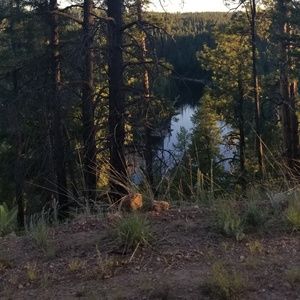 Meet your Posher, Raymond